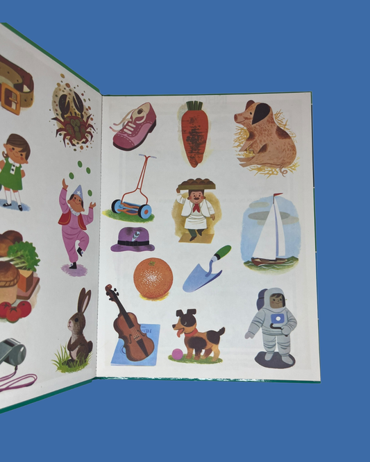 "ik kan 500 woorden" Weetjes boek