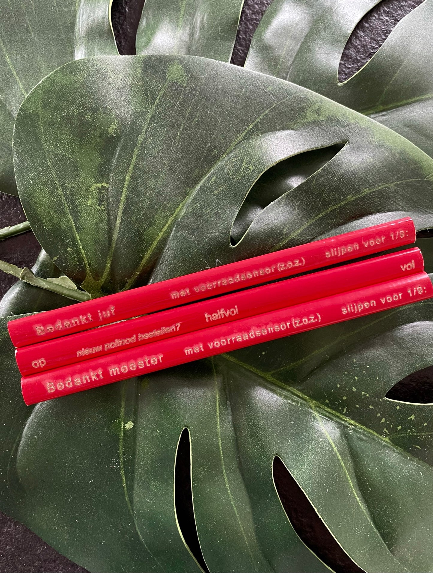 Potlood en onmetelijk latje