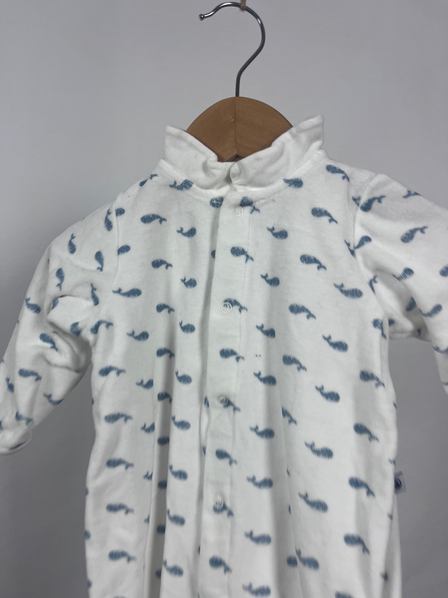 Petit Bateau 9 maand (Nieuwe collectie)