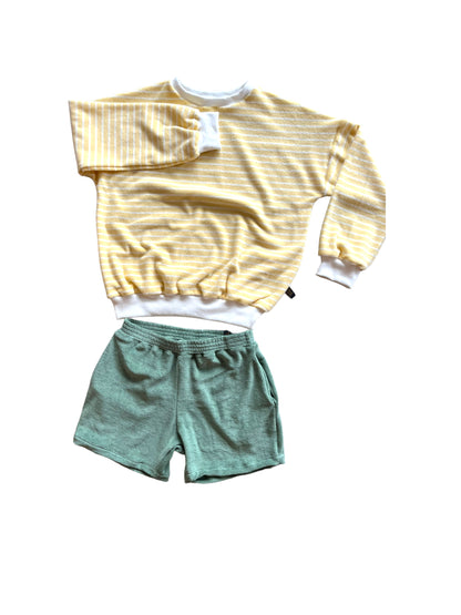 Sponsen Sweater Volwassenen (diverse gestreepte kleuren)