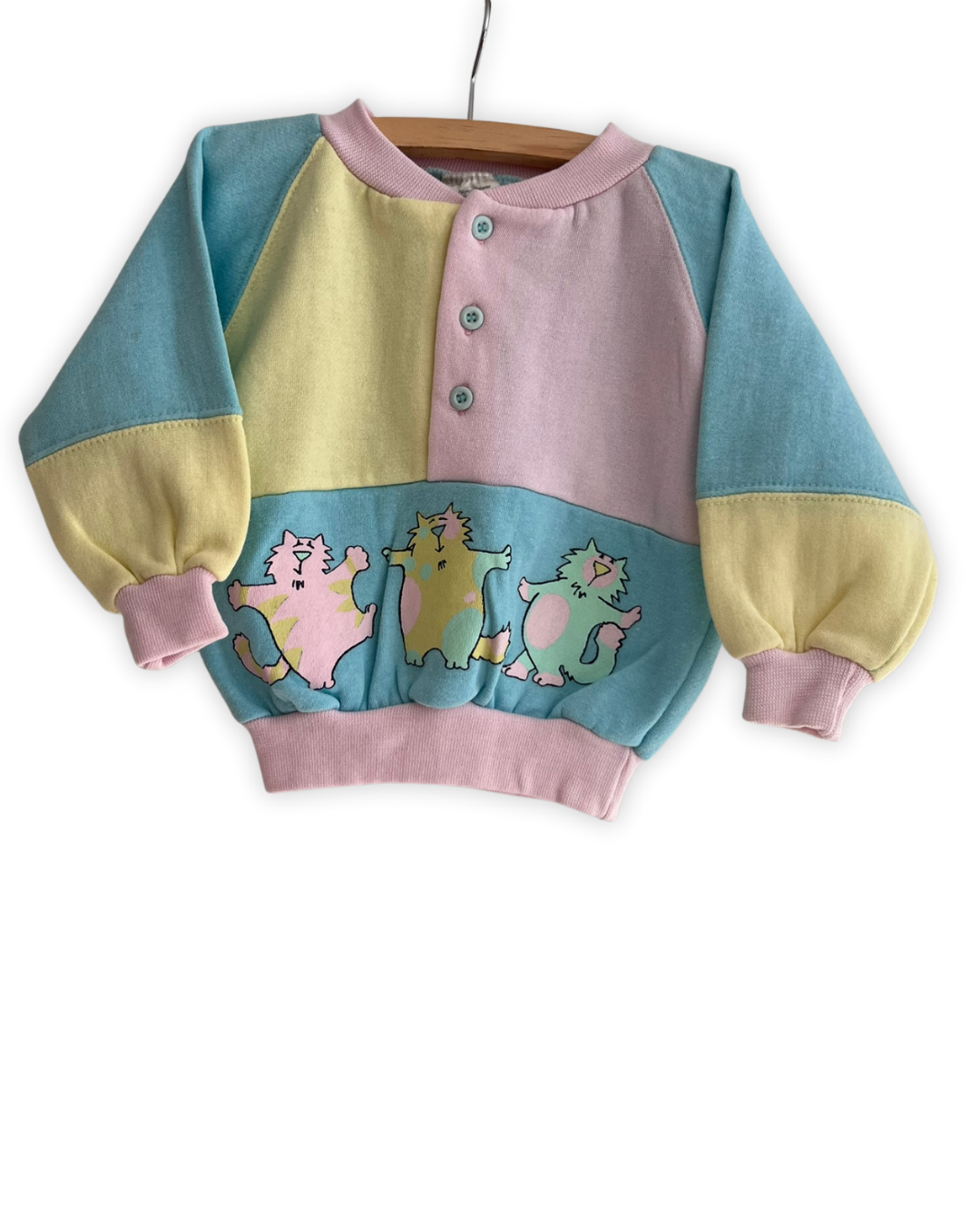 colorblock truitje met katjes maat 74