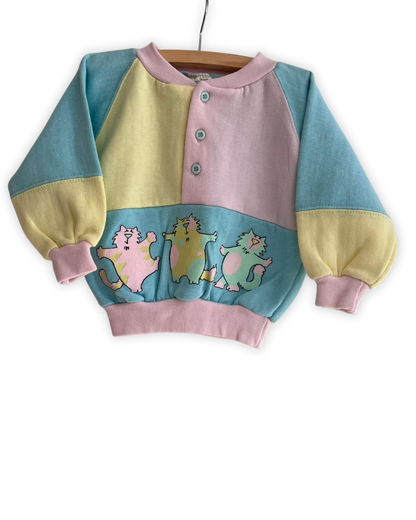 colorblock truitje met katjes maat 74