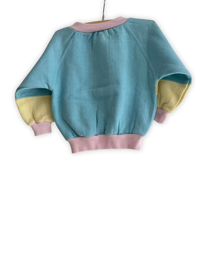 colorblock truitje met katjes maat 74