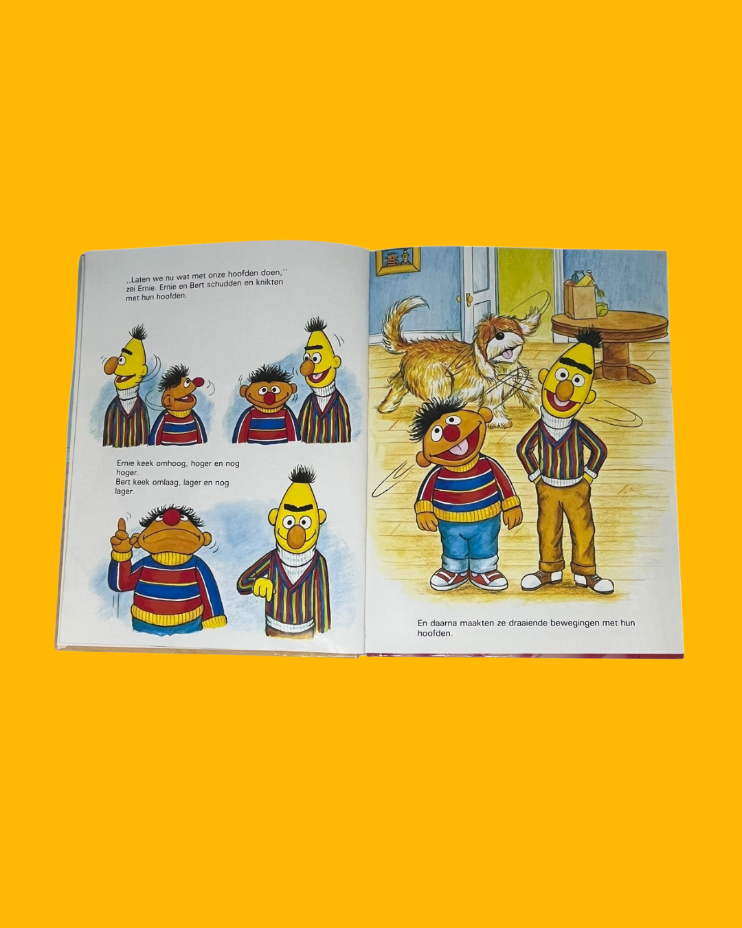 "Iedereen kan meespelen" Sesamstraat boek