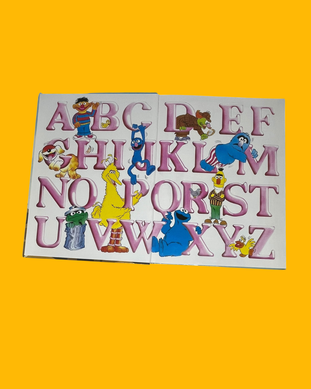 "Honden - Kleur - Hijk" Sesamstraat boek