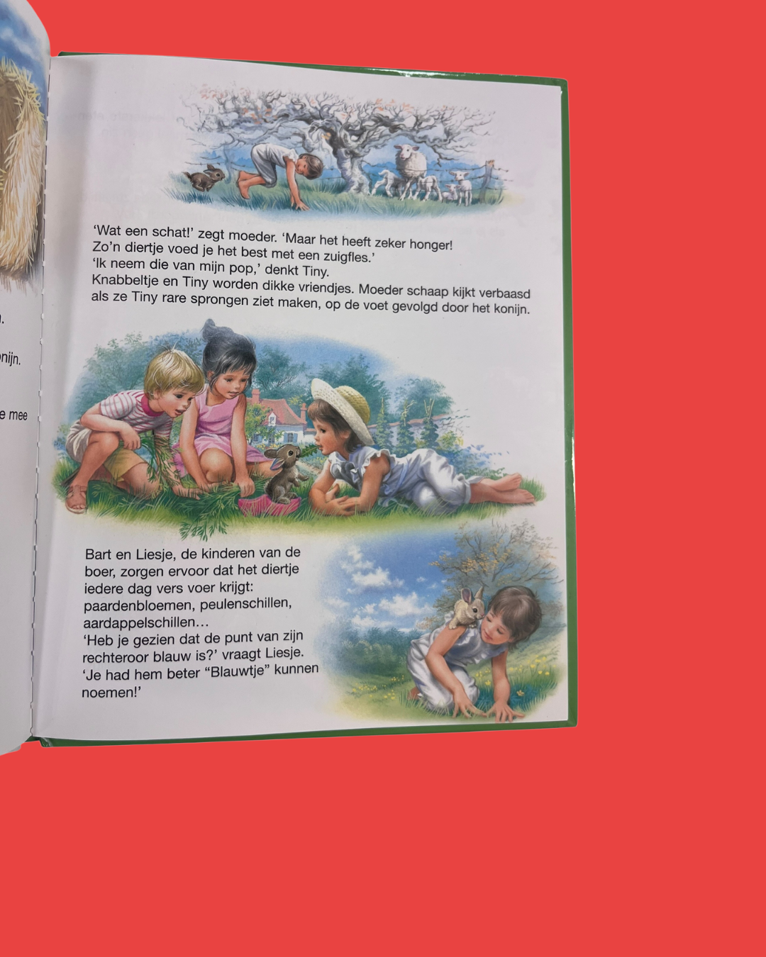 Tiny in de natuur