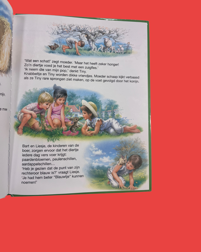 Tiny in de natuur