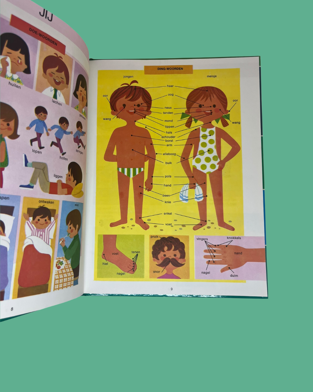 "ik kan 500 woorden" Weetjes boek