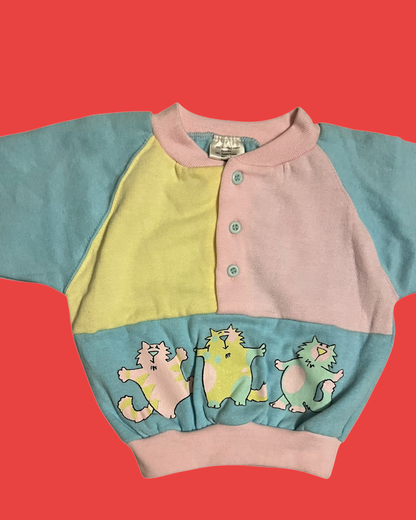 colorblock truitje met katjes maat 74