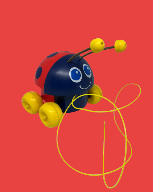 Fisher Price Pull-Along pimpampoentje