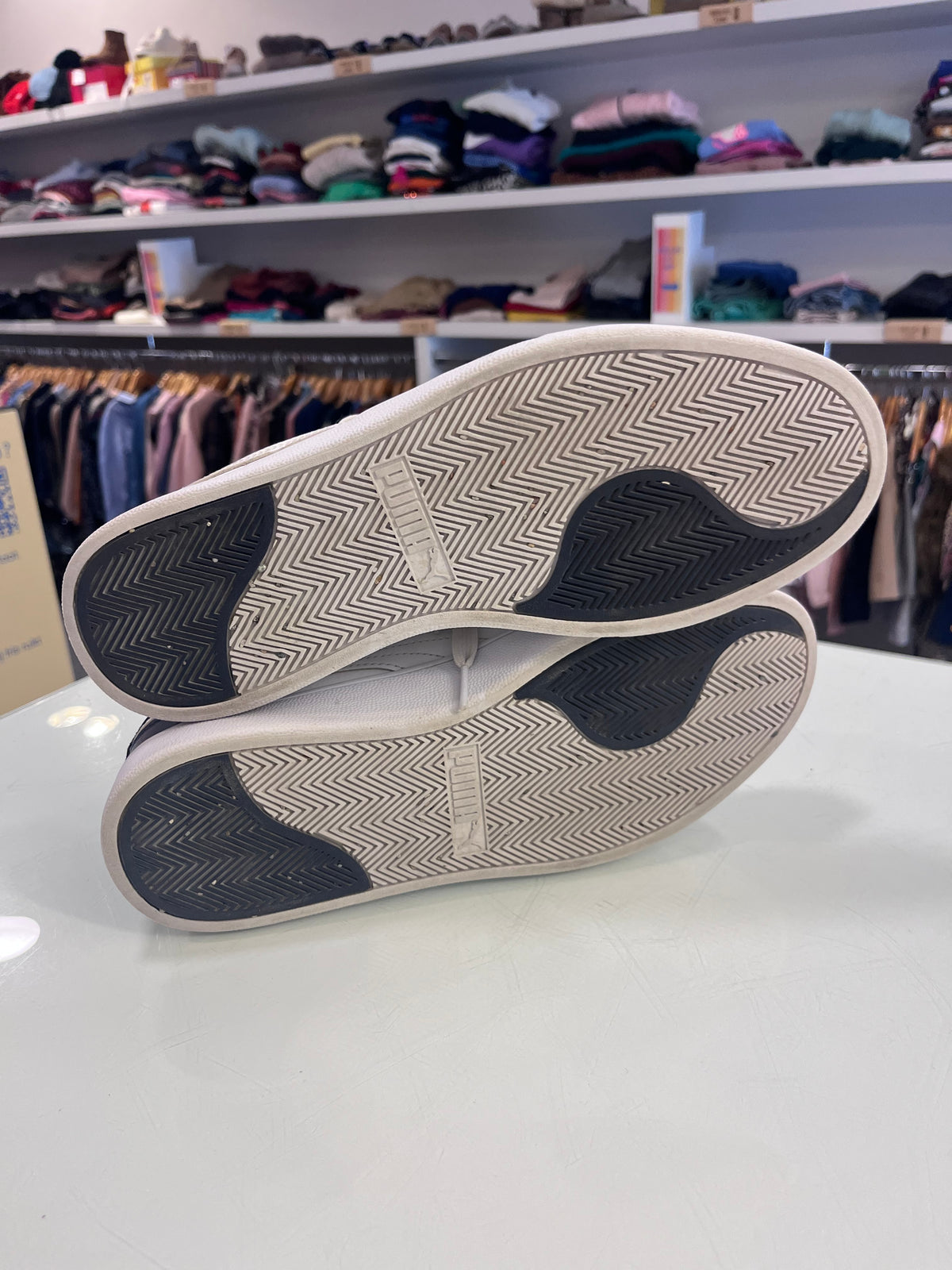 Puma 41
