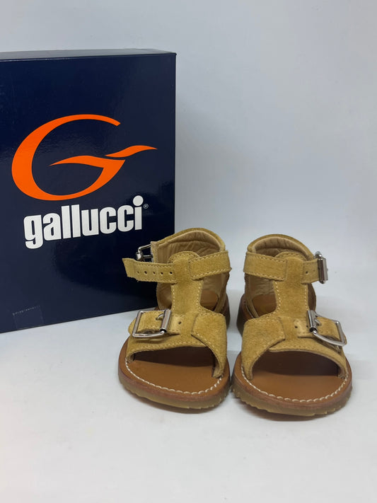 Gallucci maat 20