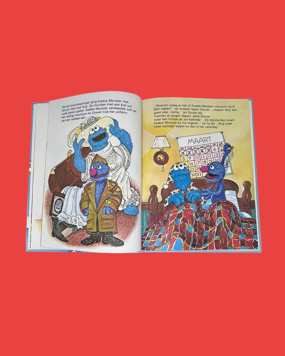 "Wanneer is het zaterdag?/De zaak van het verdwenen eendje" Sesamstraat boek