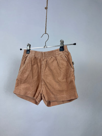 Filou 7 jaar (Nieuwe collectie)