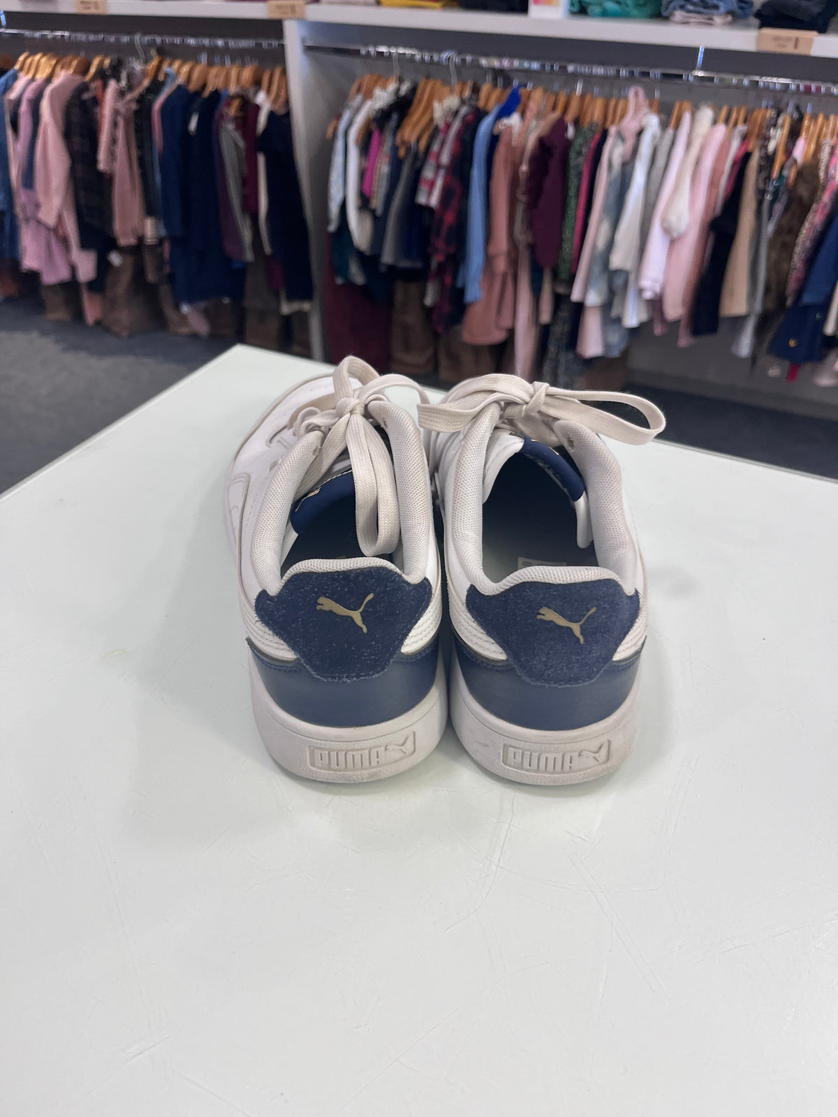Puma 41