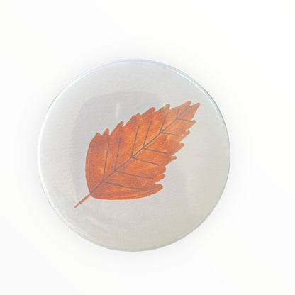 Pakket 4 magneten - seizoenen (56mm)